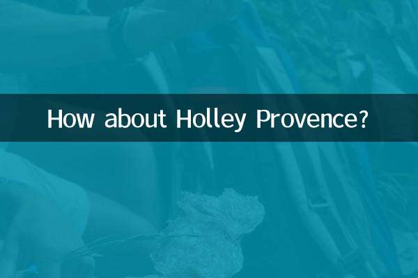 ماذا عن هولي بروفانس؟