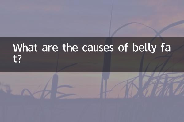 What are the causes of belly fat?
