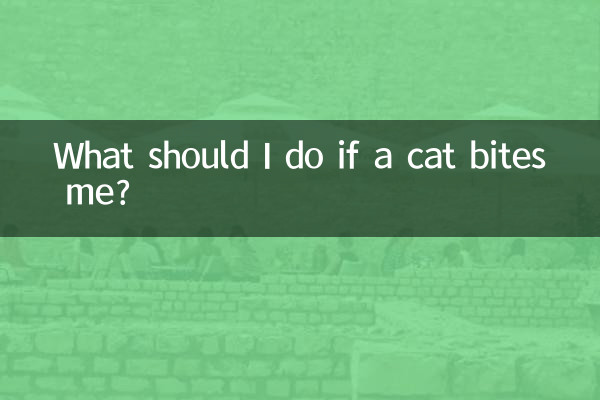 Que dois-je faire si un chat me mord ?