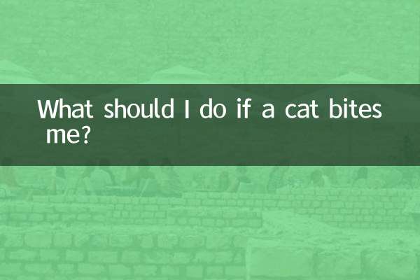 ¿Qué debo hacer si me muerde un gato?