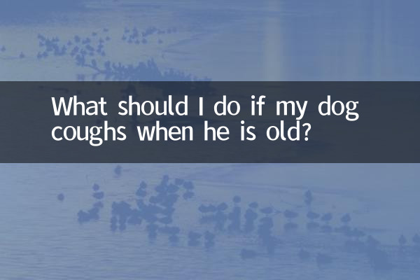यदि मेरा कुत्ता बूढ़ा होने पर खांसता है तो मुझे क्या करना चाहिए?
