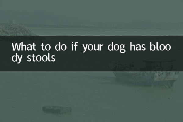 O que fazer se seu cachorro tiver fezes com sangue