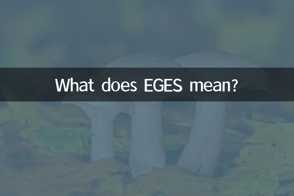 艾格es是什麼意思