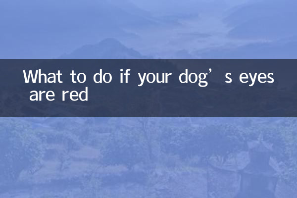 اگر آپ کے کتے کی آنکھیں سرخ ہوں تو کیا کریں