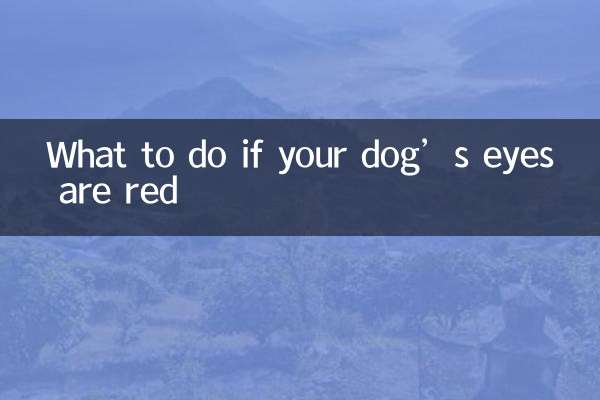 अगर आपके कुत्ते की आंखें लाल हैं तो क्या करें?