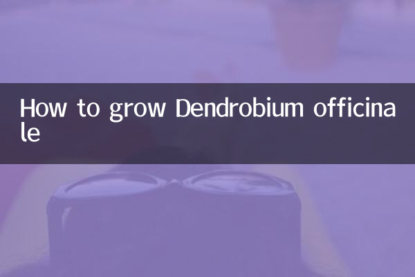 Como cultivar Dendrobium officinale