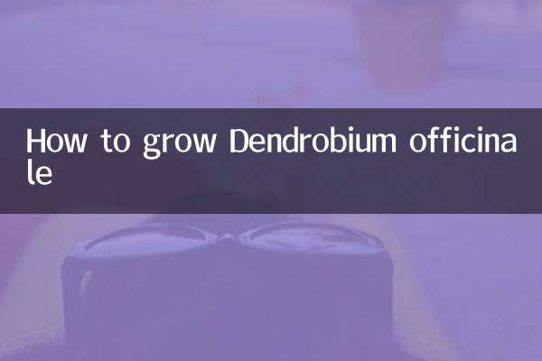 Cómo cultivar Dendrobium officinale