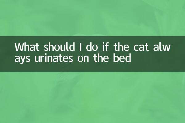 猫总在床上撒尿怎么办