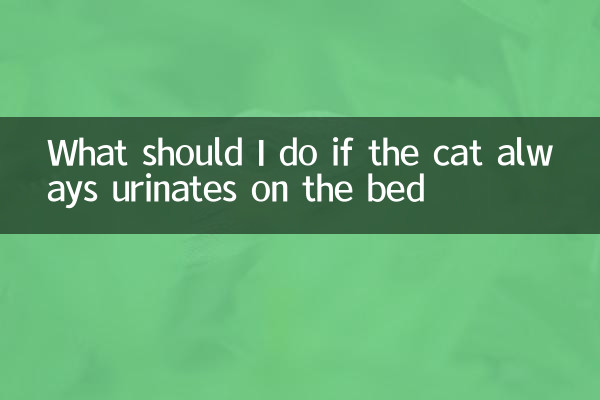猫总在床上撒尿怎么办