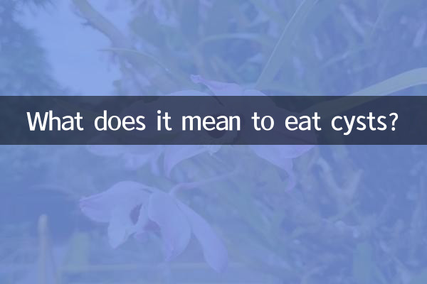 囊肿饮食注意什么意思