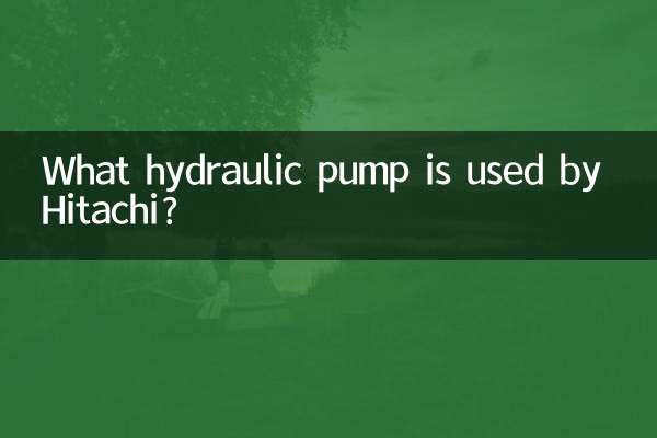 Welche hydraulische Pumpe wird von Hitachi verwendet?
