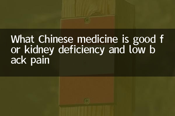 Qué medicina china es buena para la deficiencia renal y el dolor lumbar