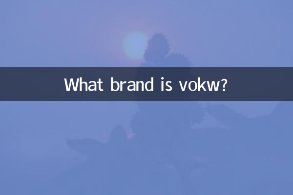 vokw是什麼品牌