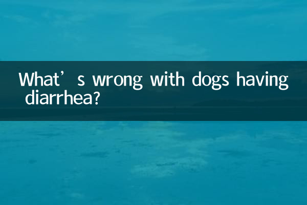 কুকুরের ডায়রিয়া হলে সমস্যা কি?