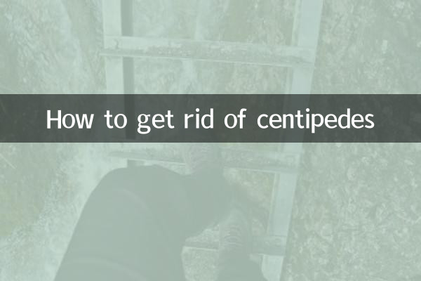 How to get rid of centipedes