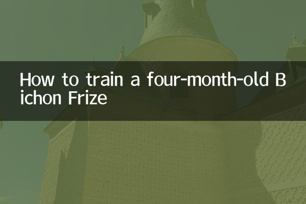 How to train a four-month-old Bichon Frize