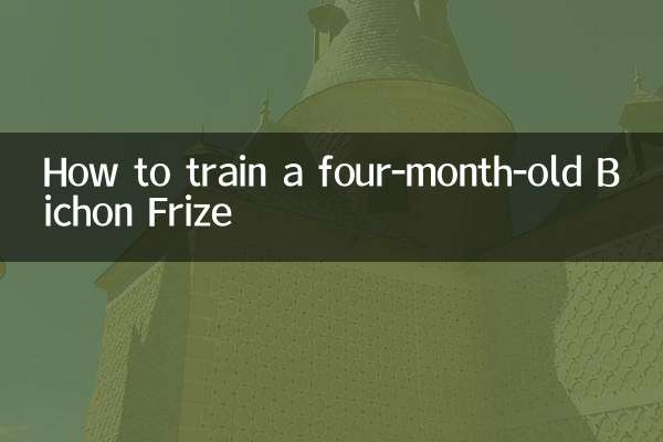 How to train a four-month-old Bichon Frize