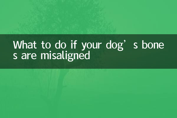 강아지의 뼈가 정렬되지 않은 경우해야 할 일