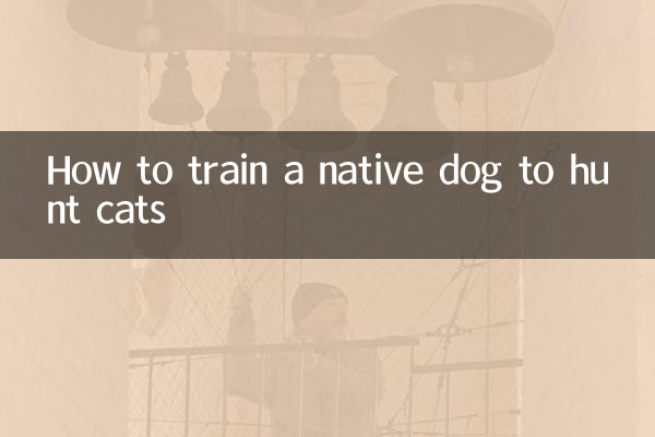 怎麼訓練土狗獵貓