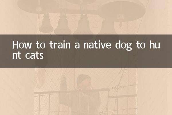 怎麼訓練土狗獵貓