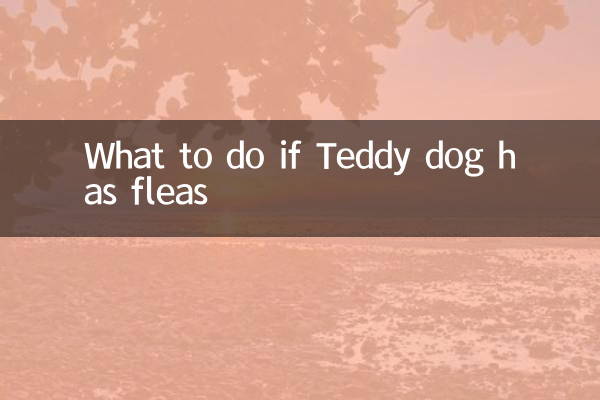 Qué hacer si el perro Teddy tiene pulgas