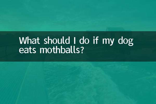 اگر سگم گلوله خفن بخورد چه کار کنم؟