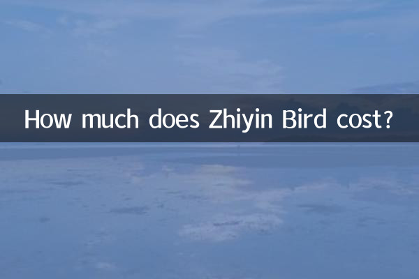 How much does Zhiyin Bird cost?