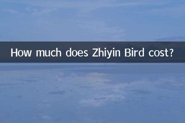 How much does Zhiyin Bird cost?