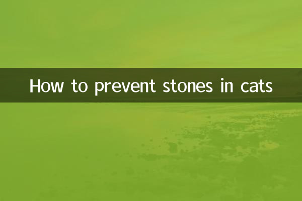 貓怎麼預防結石