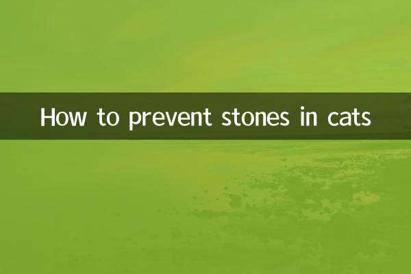 How to prevent stones in cats