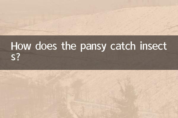 Come fa la viola del pensiero a catturare gli insetti?