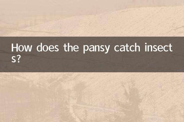 Come fa la viola del pensiero a catturare gli insetti?