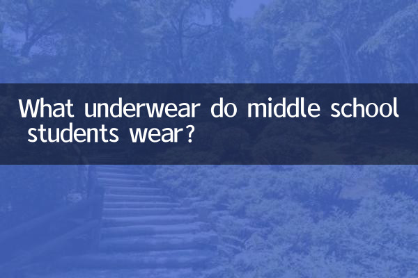 中学生はどんな下着を履いていますか？