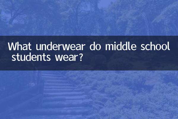 中学生はどんな下着を履いていますか？