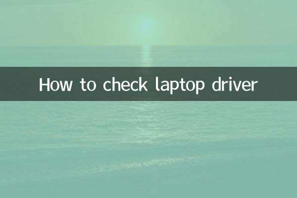 لیپ ٹاپ ڈرائیور کو کیسے چیک کریں