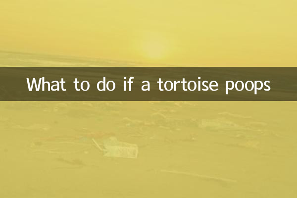 What to do if a tortoise poops