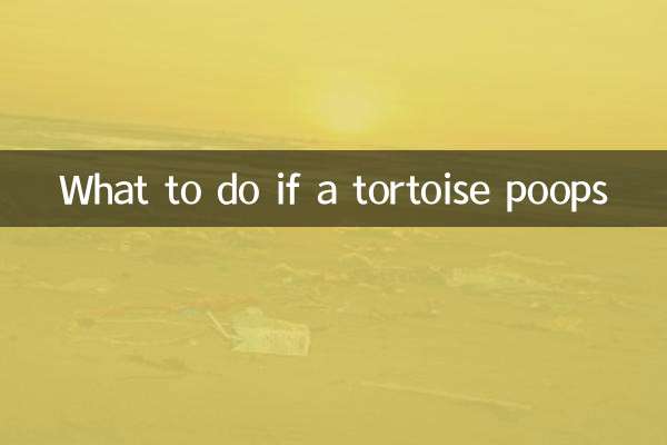 What to do if a tortoise poops