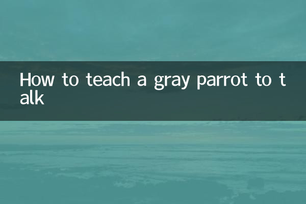 Cómo enseñar a hablar a un loro gris