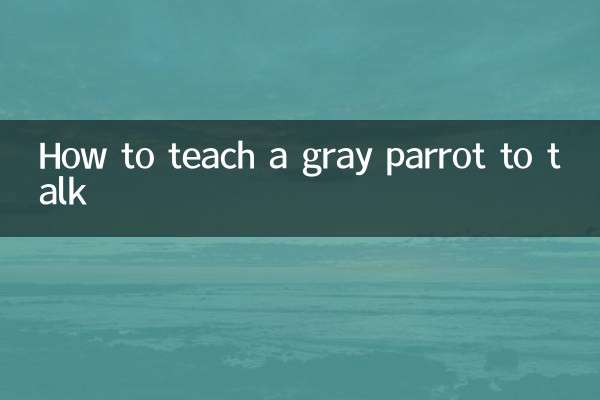 Как научить серого попугая говорить