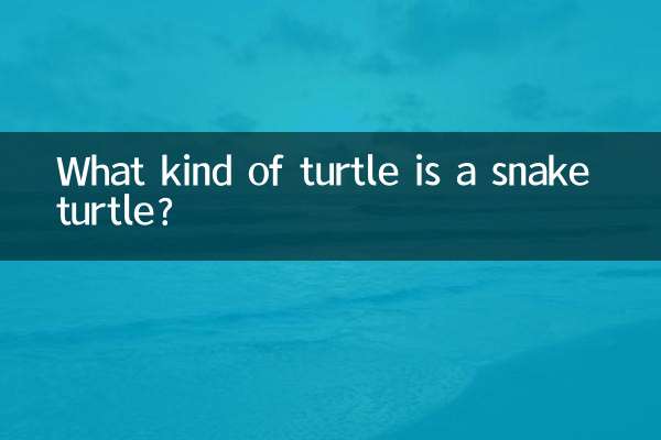 What kind of turtle is a snake turtle?