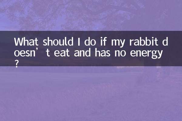 Что делать, если кролик не ест и у него нет сил?