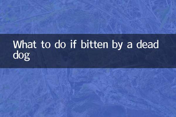 죽은 개에게 물린 경우 대처 방법