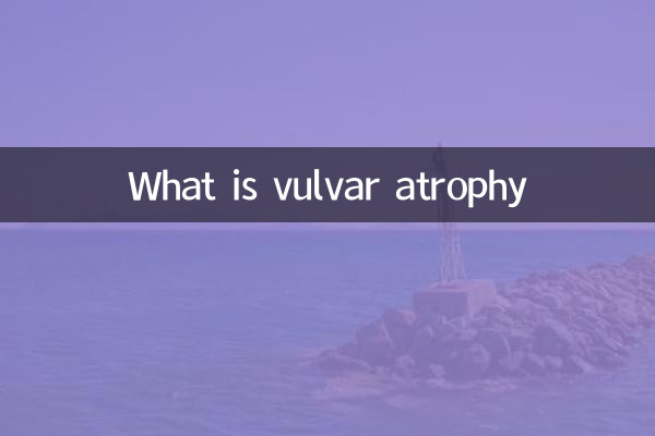 외음부 위축이란 무엇입니까?