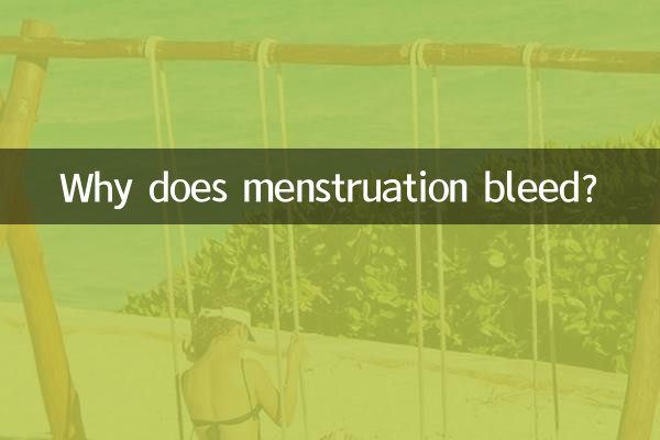 Perché le mestruazioni sanguinano?