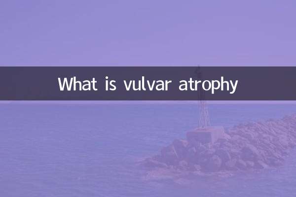 외음부 위축이란 무엇입니까?