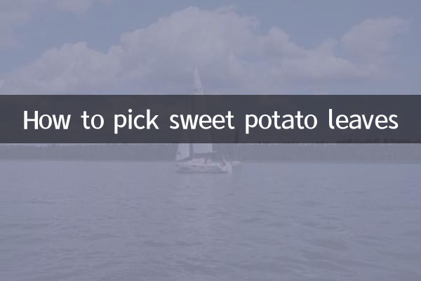 কিভাবে মিষ্টি আলু পাতা বাছাই