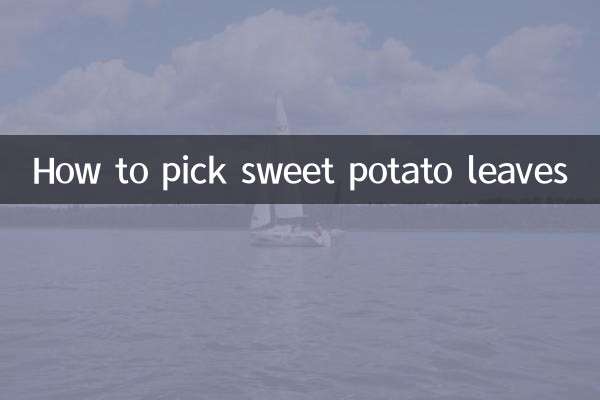 কিভাবে মিষ্টি আলু পাতা বাছাই