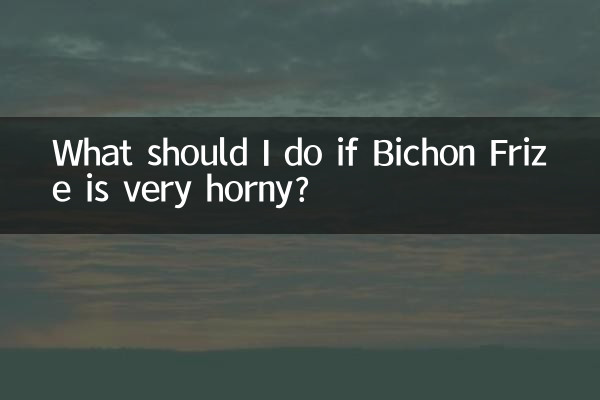 ماذا علي أن أفعل إذا كان Bichon Frize قرنيًا جدًا؟