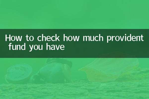 آپ کے پاس کتنا پروویڈنٹ فنڈ ہے اس کی جانچ کیسے کریں