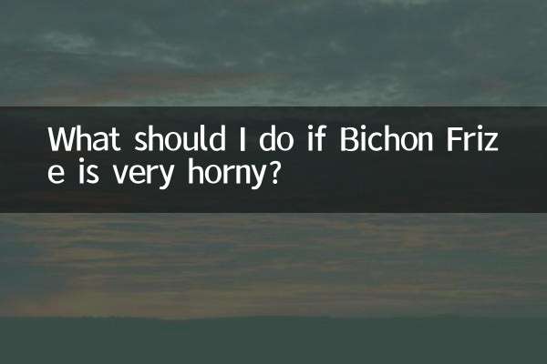 Bichon Frize가 너무 흥분하면 어떻게 해야 하나요?